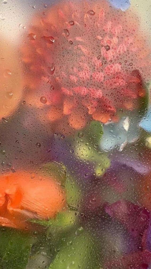 Springing Forward: Feminine Floral Wallpapers For&nbsp;You